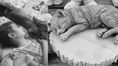 Kot był przy chłopcu w czasie choroby