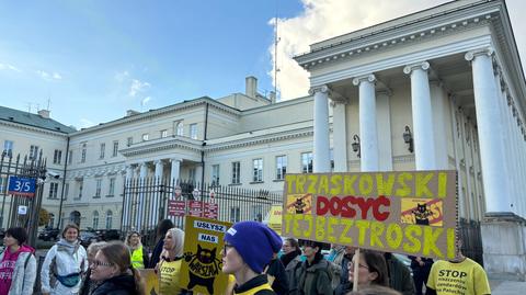 Protest wolontariuszy w sprawie trudnej sytuacji kotów z Palucha