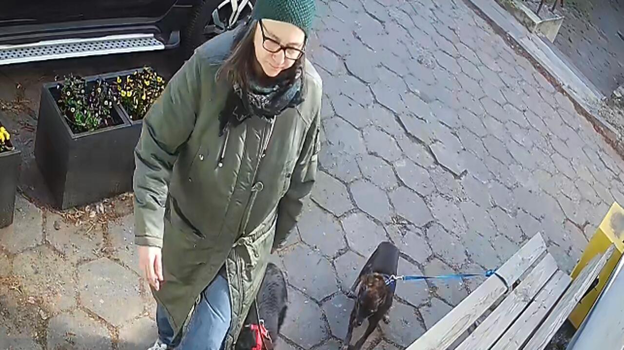 Pies porzucony przed kliniką. Policjanci poszukują tej kobiety 