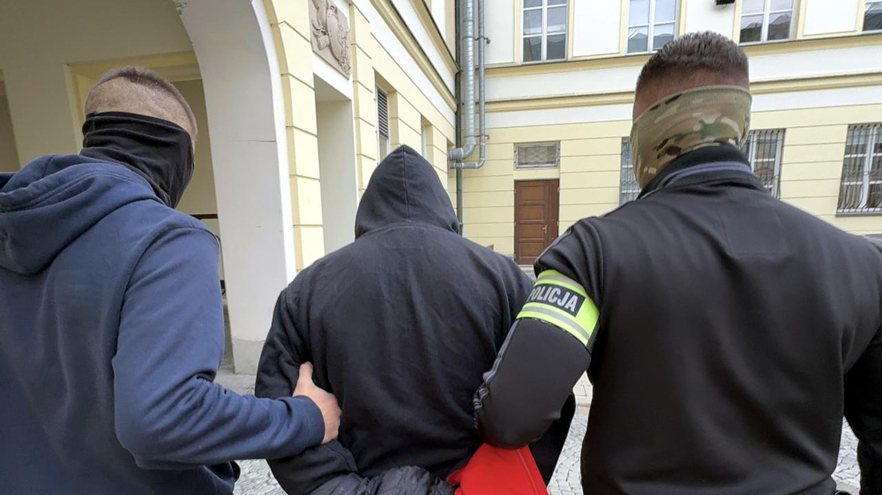 Kradli auta w miastach i rozbierali w lasach