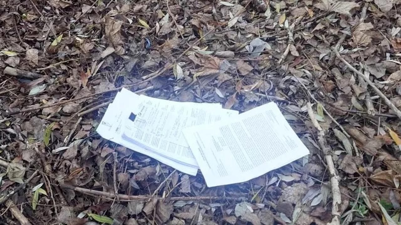 Ich uwagę zwróciła ostra biel. W trawie leżały dokumenty z poufnymi informacjami