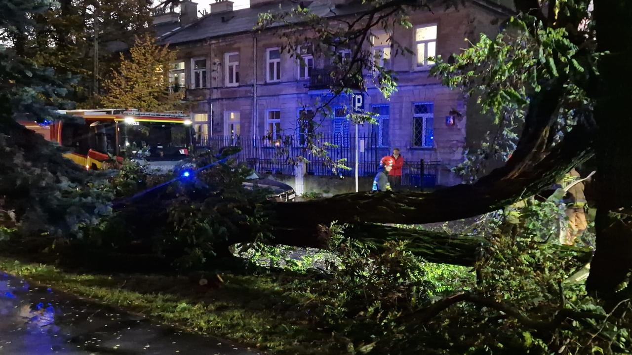 Przeszła burza, połamała drzewa. Jedno raniło pieszego