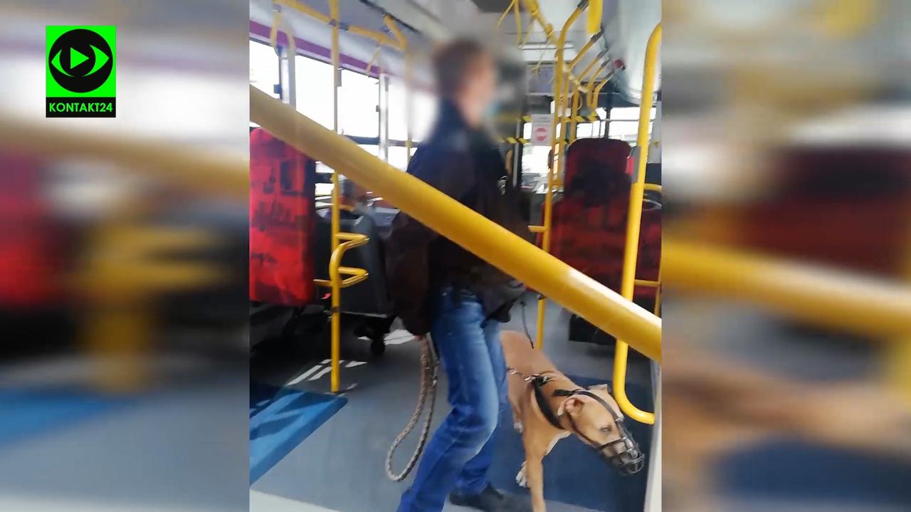 Kopał autobus i ubliżał kierowcy, bo ten zwrócił mu uwagę