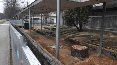 Z terenu dawnej Węgierskiej Ekspozytury Handlowej wycięto 16 drzew