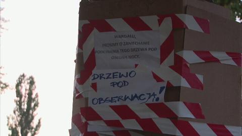 Drzewo pod obserwacją