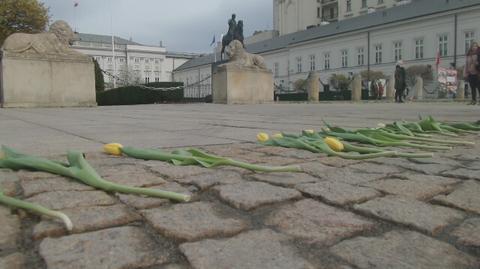 Kwiaty przy Krakowskim Przedmieściu
