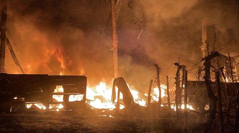 Pożar hali w miejscowości Trzylatków Duży