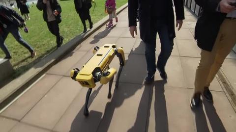 Trzaskowski spacerował z robotycznym psem