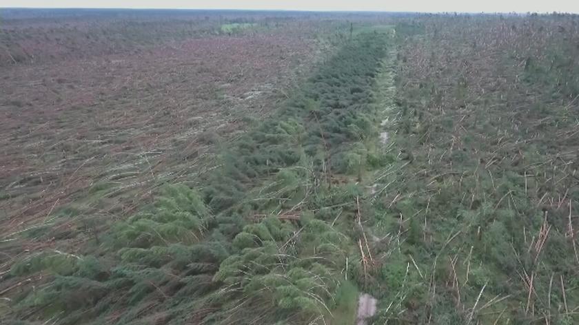 Hektary drzew połamanych jak zapałki. Film z drona
