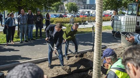 Do końca roku w centrum stolicy zostanie posadzonych 118 drzew