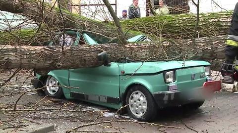 Na Górczewskiej złamane drzewo zgniotło Fiata 126p