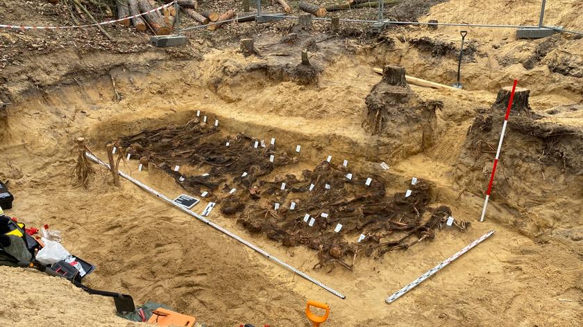 Specjaliści IPN odkryli zbiorowy grób na Białołęce