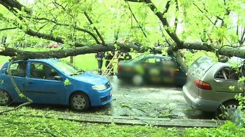 Drzewo runęło na samochody