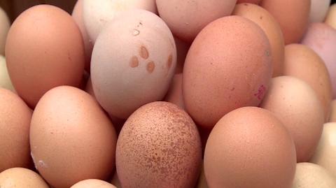 Jajka są cennym źródłem białka
