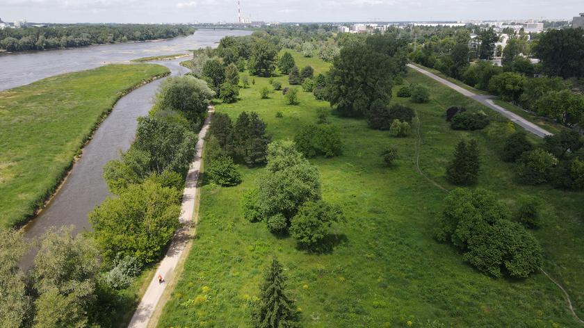 Na dzikich terenach Golędzinowa miasto planuje utworzyć park naturalny