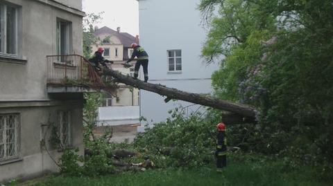 Ogromne drzewo zwaliło się na sąsiadujący budynek