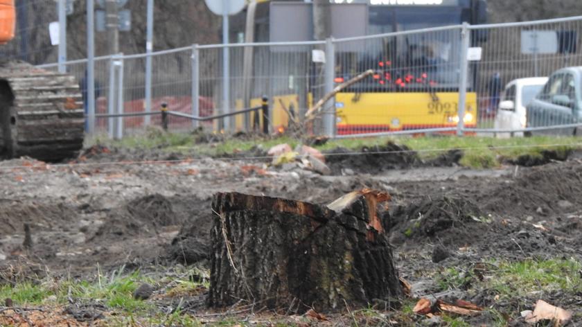 Na rogu Spacerowej i Belwederskiej wycięto drzewa