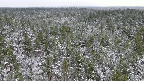 Mazowiecki Park Krajobrazowy zimą