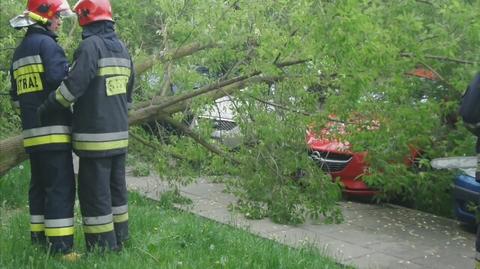 Drzewo spadło na auta