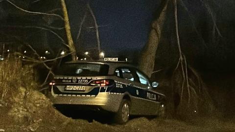 Radiowóz uderzył w drzewo w Dawidach Bankowych