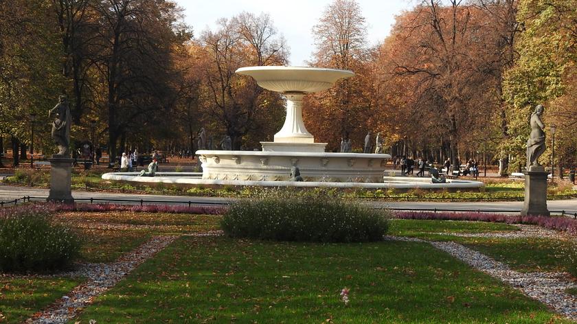 Plany odbudowy Pałacu Saskiego kolidują ze 150 drzewami