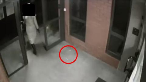 Pies Gacek zjadł przed blokiem kiełbasę nafaszerowaną trucizną (wideo archiwalne)