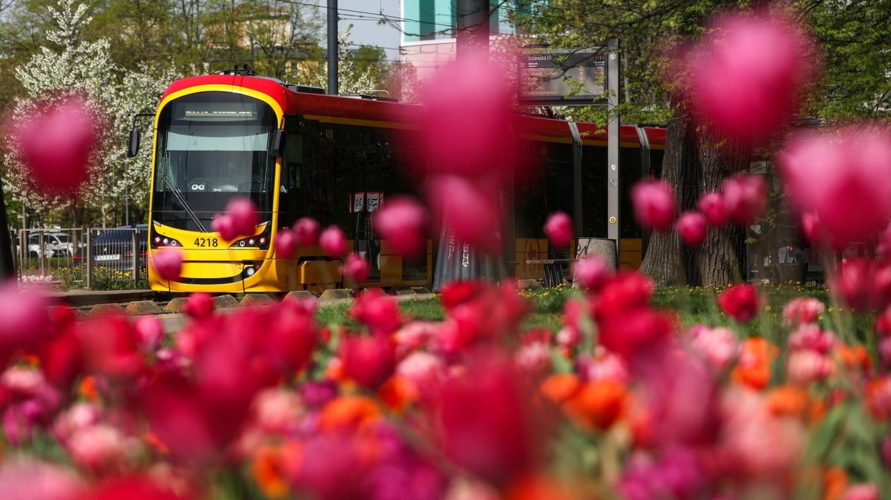 Komunikacja miejska w majówkę. Sprawdź, jak będą kursować tramwaje, autobusy i pociągi