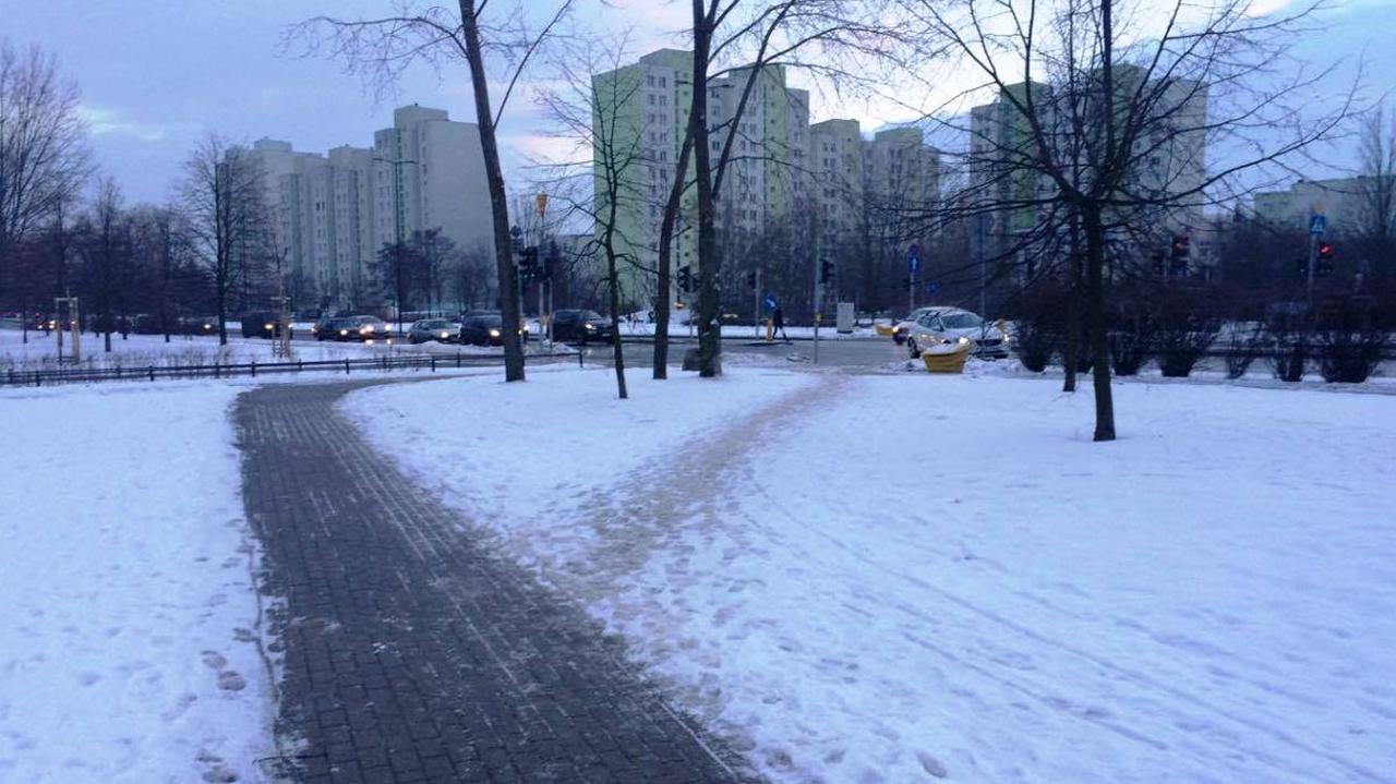 Wydeptane ścieżki chcą zamienić w chodniki