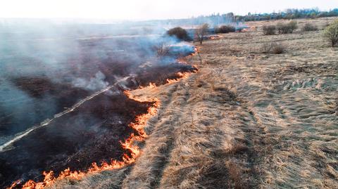 Szkodliwe i niebezpieczne wypalanie traw. W trakcie pożaru 68-latek zasłabł i zmarł
