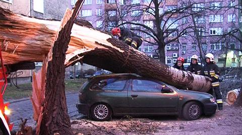 Drzewo przygniotło samochody przy ul. Okopowej
fot. Lech Marcinczak/tvnwarszawa.pl
