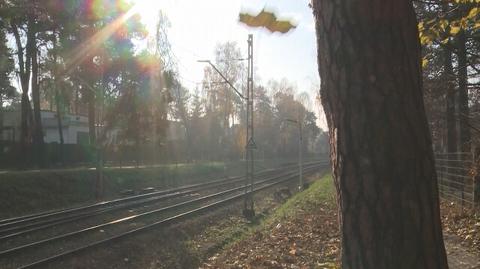 "Wycinka zabije nasze miejscowości"