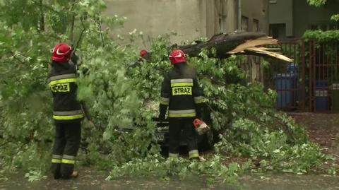 Wiatr złamał drzewo przy ul. Kazimierzowskiej