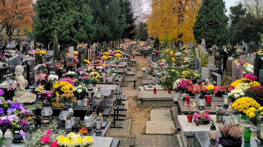 Morawiecki o zamknięciu cmentarzy w dzień Wszystkich Świętych