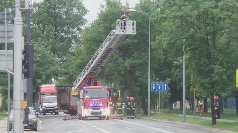 Wycinka drzewa na ulicy Jagiellońskiej