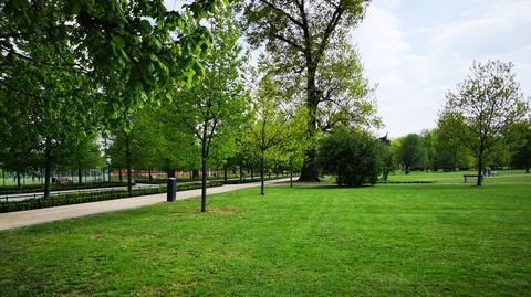 Dyrektor legnickiego sanepidu wjechał do tamtejszego parku mimo zakazu