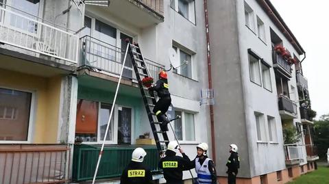 Zaręczyny jak prawdziwa akcja gaśnicza